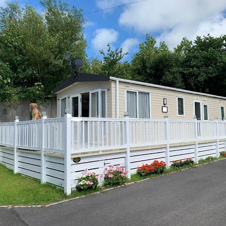 Mollys Retreat Pet Friendly Three Bed Caravan With Small Garden Newquay Bay Resort Quieter Area Of Park מראה חיצוני תמונה