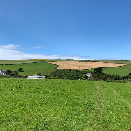 Mollys Retreat Pet Friendly Three Bed Caravan With Small Garden Newquay Bay Resort Quieter Area Of Park מראה חיצוני תמונה