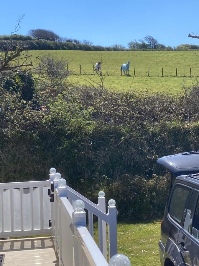 Mollys Retreat Pet Friendly Three Bed Caravan With Small Garden Newquay Bay Resort Quieter Area Of Park מראה חיצוני תמונה